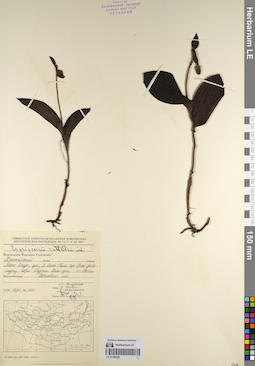 LE 01109328