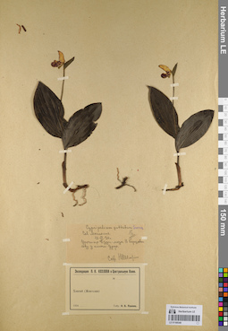 LE 01109348