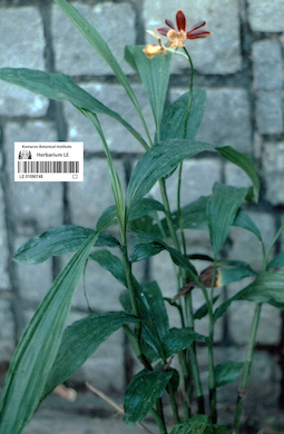 LE 01090748