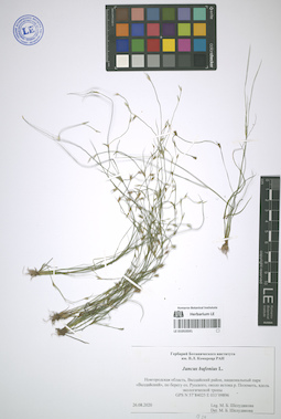 LE 01053591