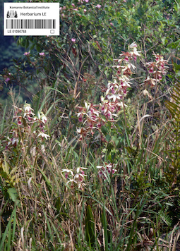 LE 01090768