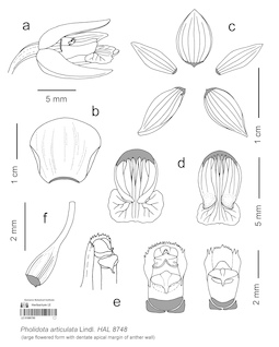 LE 01090785
