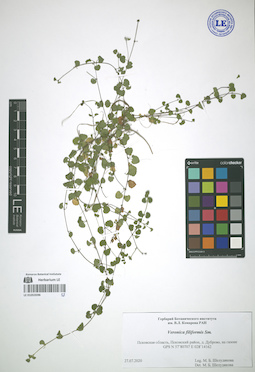 LE 01053596