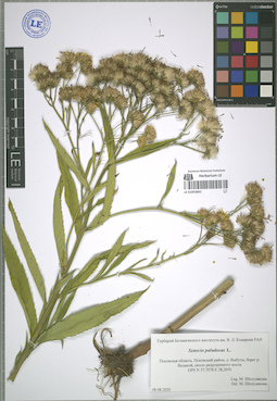 LE 01053601