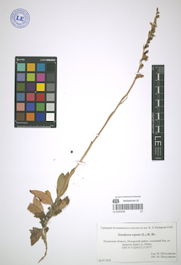 LE 01053598