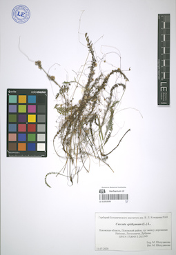 LE 01053599