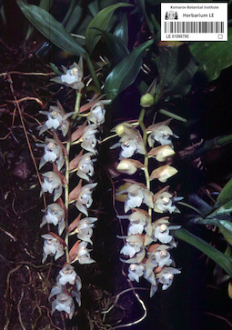 LE 01090795