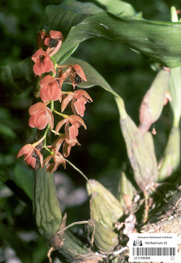 LE 01090809