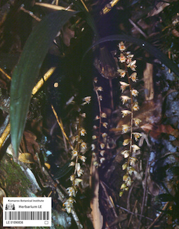 LE 01090836