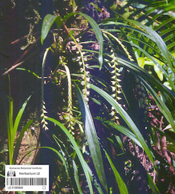 LE 01090840