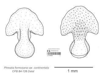 LE 01090846
