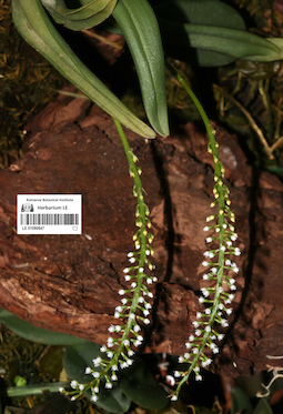 LE 01090847