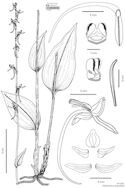 LE 01090852