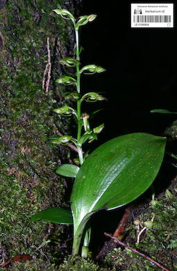 LE 01090854