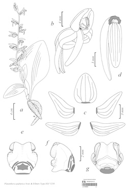 LE 01090855