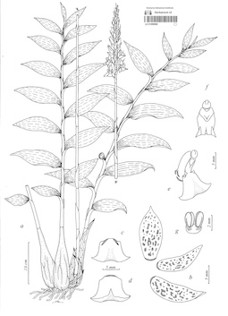 LE 01090860