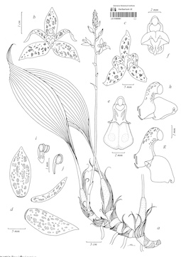 LE 01090861