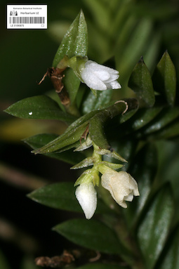 LE 01090870