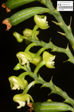 LE 01090886