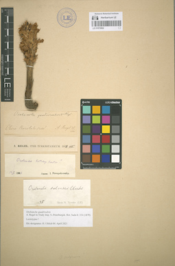 LE 01072662