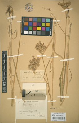 LE 00052845