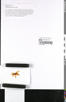 LE 01074492