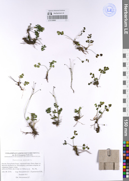 LE 01108060