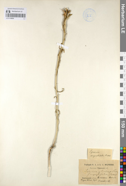 LE 01108094