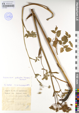LE 01108391
