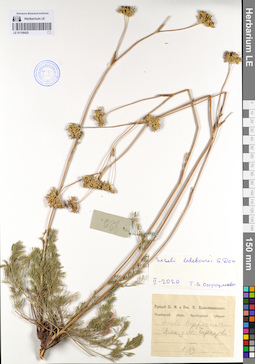 LE 01108425