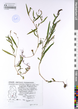 LE 01108742