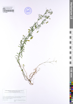 LE 01109084