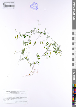 LE 01109085