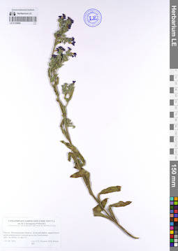 LE 01109086