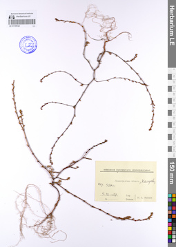 LE 01109122