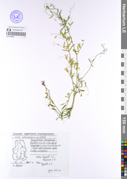 LE 01109519