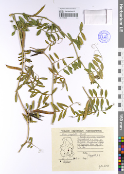 LE 01109520