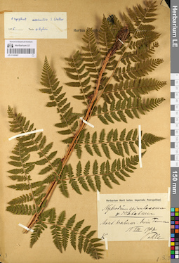 LE 01109567