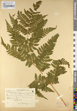 LE 01109570