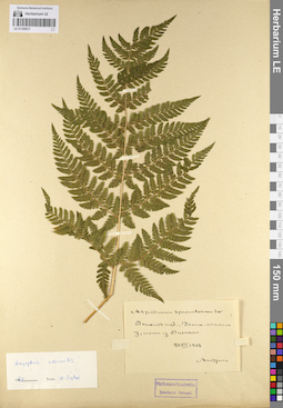LE 01109571