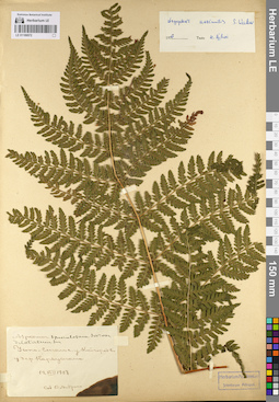 LE 01109572