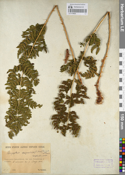 LE 01109626