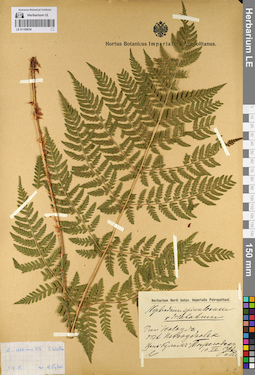 LE 01109634