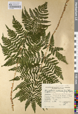 LE 01109644