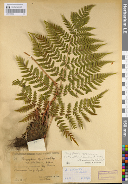 LE 01109652