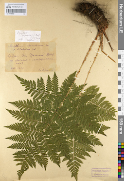 LE 01109658