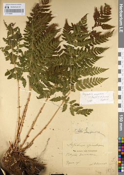 LE 01109660