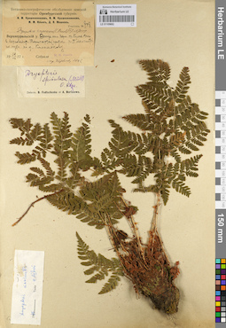 LE 01109662