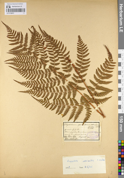 LE 01109672