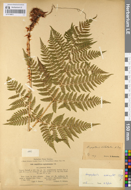 LE 01109673